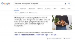 Featured Snippet in Google Search Results